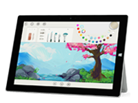 海盐Surface 无法开启、Windows 无法启动或电池无法充电